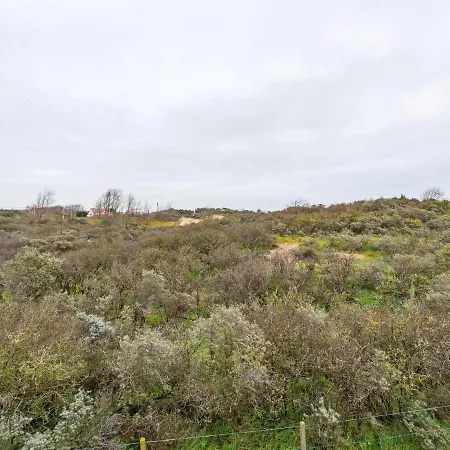 In Near Hoge Blekker Dunes Villa